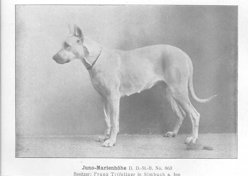Juno-Marienhohe -II-7-26A